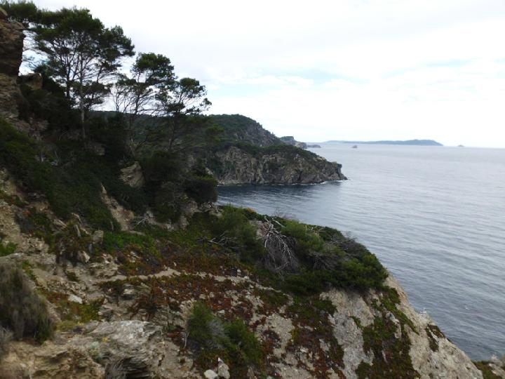 2014-06 Porquerolles 005.JPG